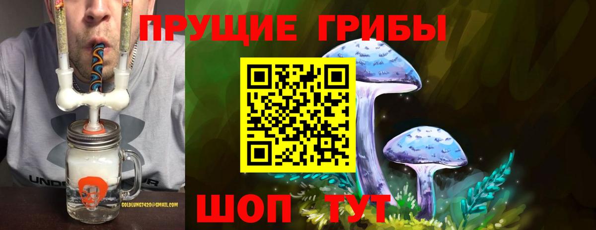 наркотики  Вход с VPN  Конаково  Псилоцибиновые грибы Psilocybe 